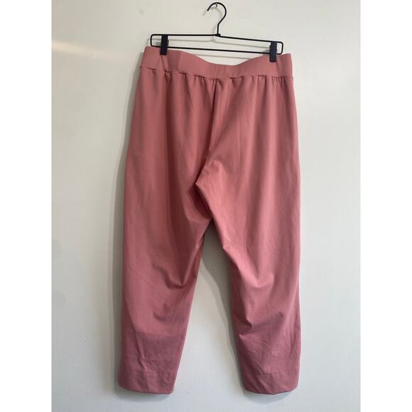 Stylish Muted Pink Pull-On Ankle Pants - Size Large - Picture 7 of 12